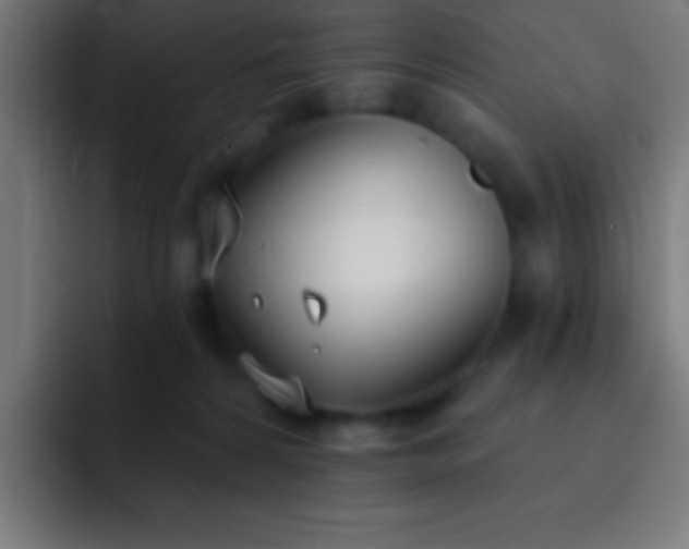 X0000093090224200710031817