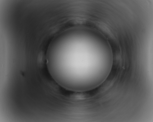 X0000093090228200710031817