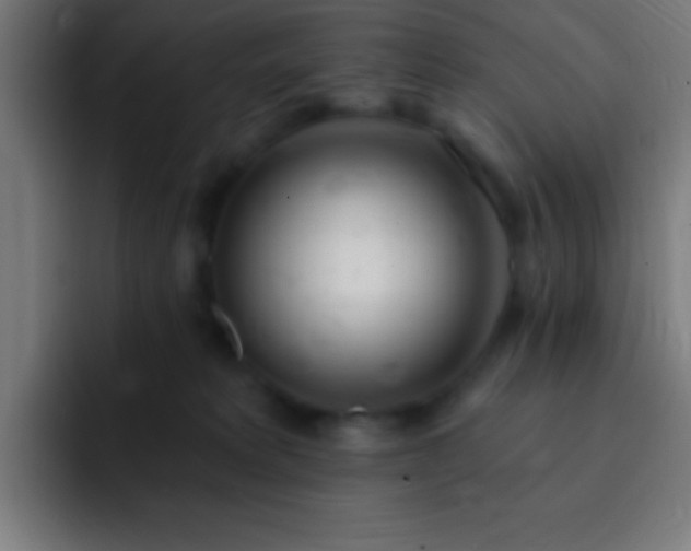 X0000093090229200710031817