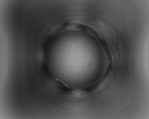 X0000093090231200710031817