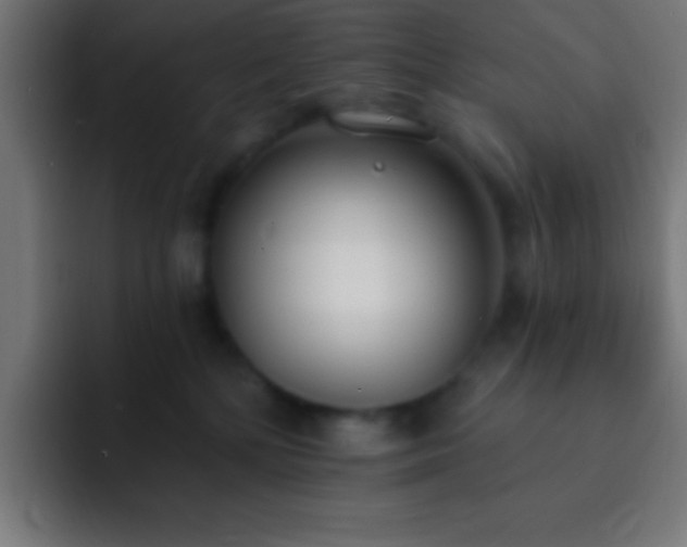 X0000093090232200710031817