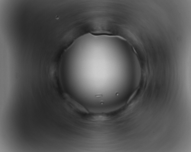 X0000093090233200710031817