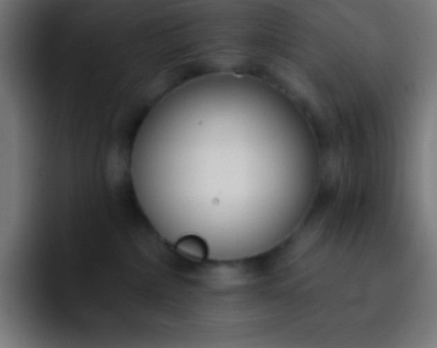 X0000093090236200710031817