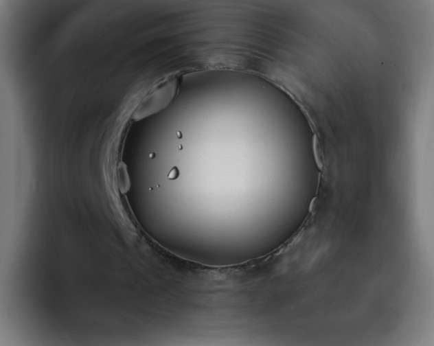 X0000093090241200710031817