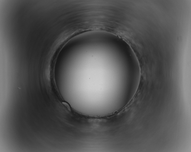 X0000093090242200710031817