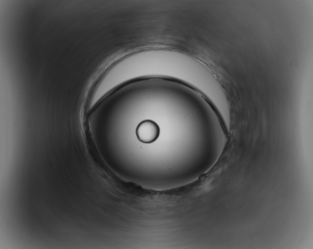 X0000093090244200710031817