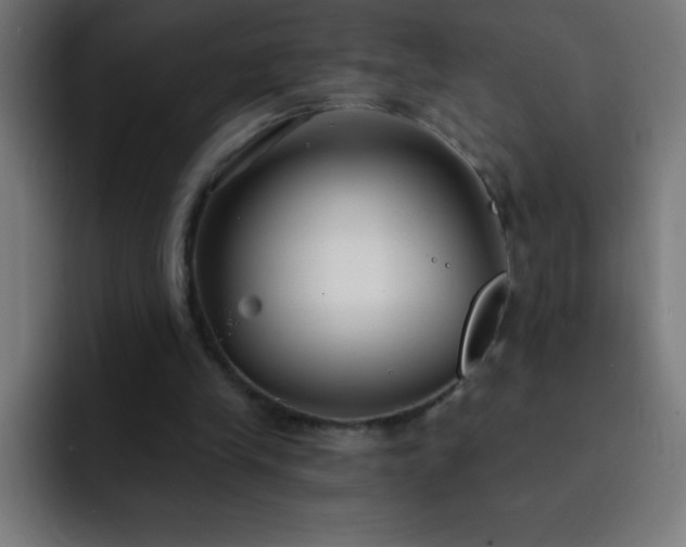 X0000093090245200710031817