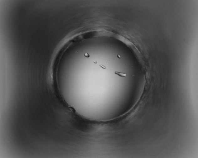 X0000093090246200710031817