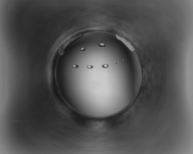 X0000093090247200710031817