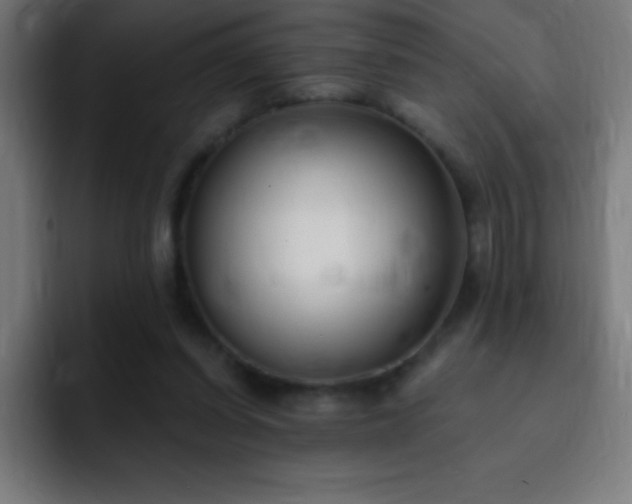 X0000093090254200710031817