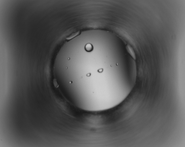 X0000093090256200710031817