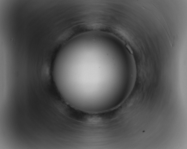 X0000093090258200710031817