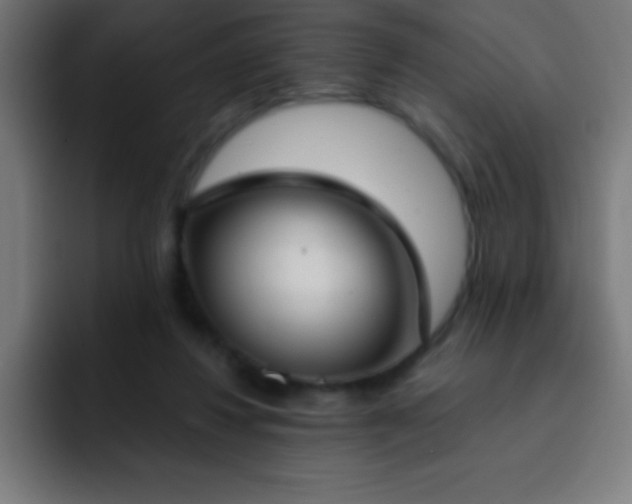 X0000093090260200710031817