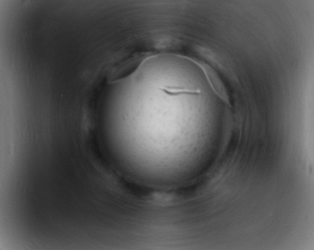 X0000093090272200710031817