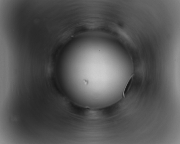 X0000093090277200710031817