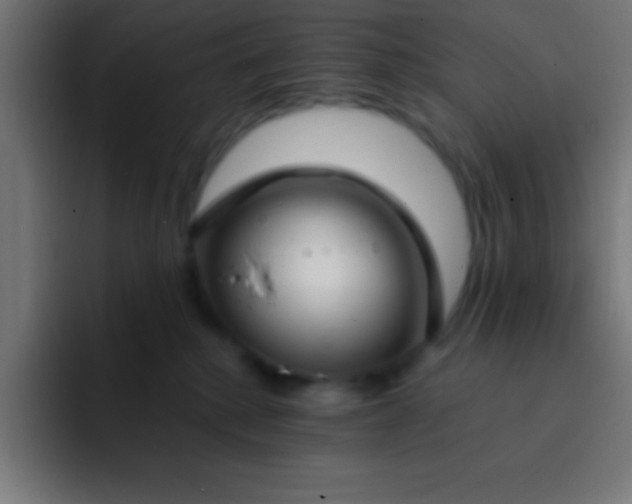 X0000093090280200710031817