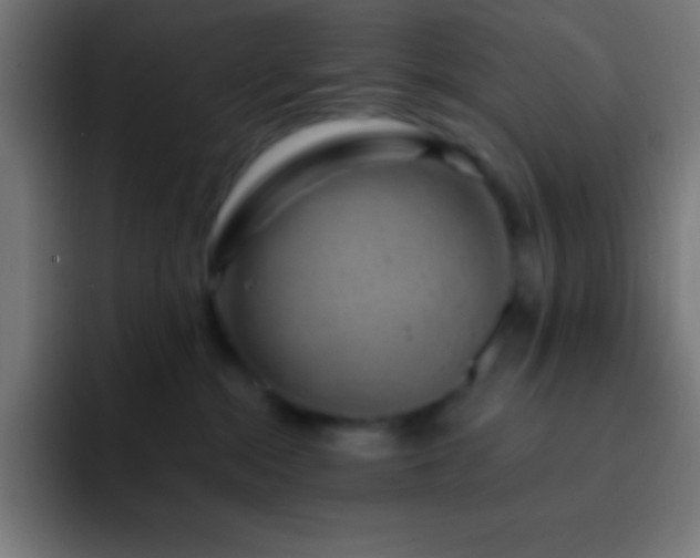 X0000093090284200710031817