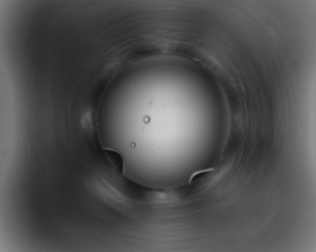 X0000093090286200710031817