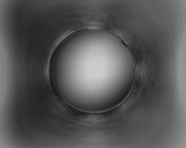 X0000093090292200710031817