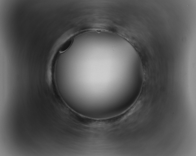 X0000093090294200710031817