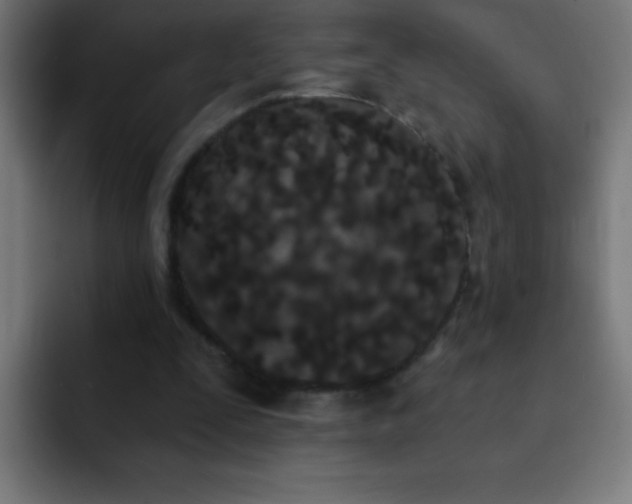 X0000093090295200710031817