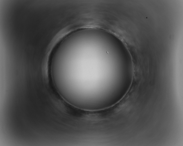 X0000093090296200710031817