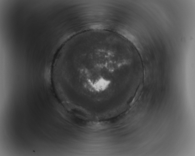 X0000093090297200710031817