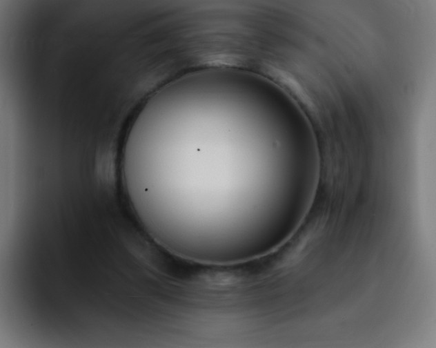 X0000093090299200710031817