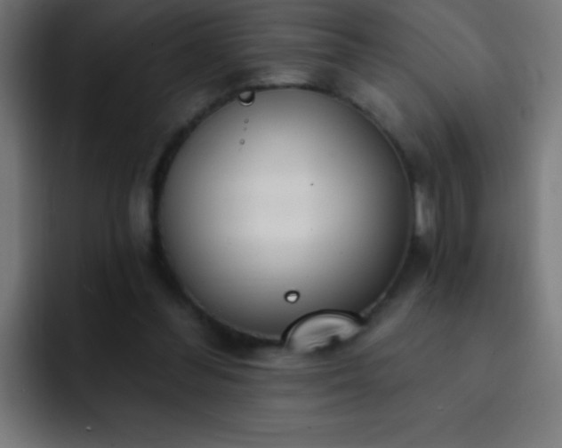 X0000093090300200710031817