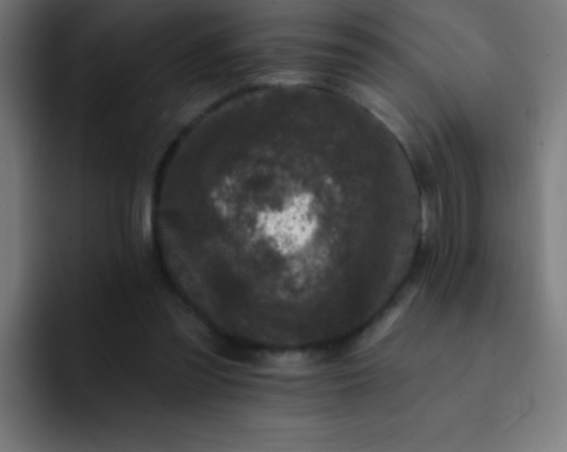 X0000093090301200710031817