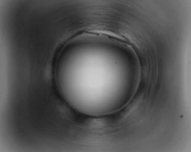 X0000093090303200710031817