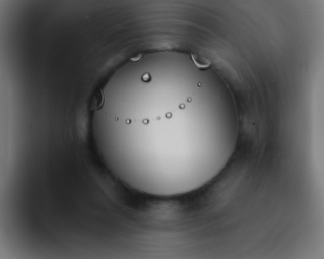 X0000093090304200710031817