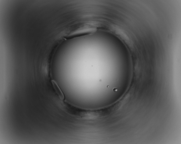 X0000093090305200710031817