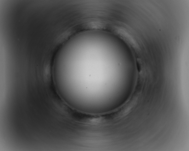 X0000093090306200710031817