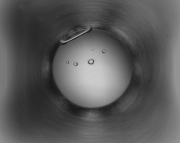 X0000093090308200710031816