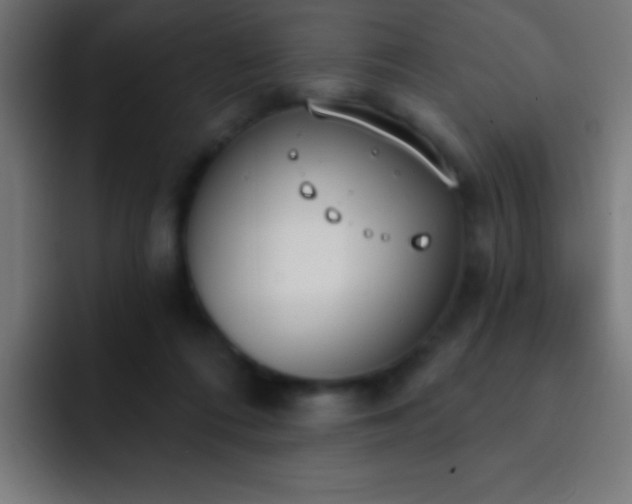 X0000093090312200710031816