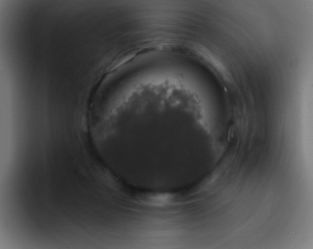 X0000093090313200710031816