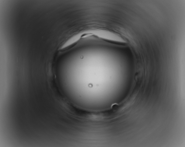 X0000093090317200710031816