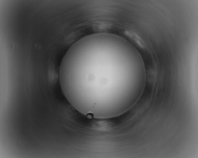 X0000093090324200710031816