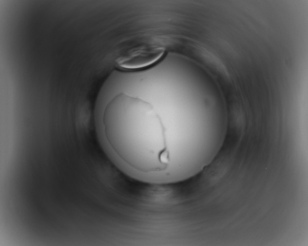 X0000093090328200710031816