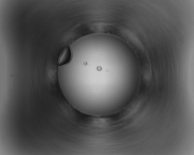 X0000093090332200710031816