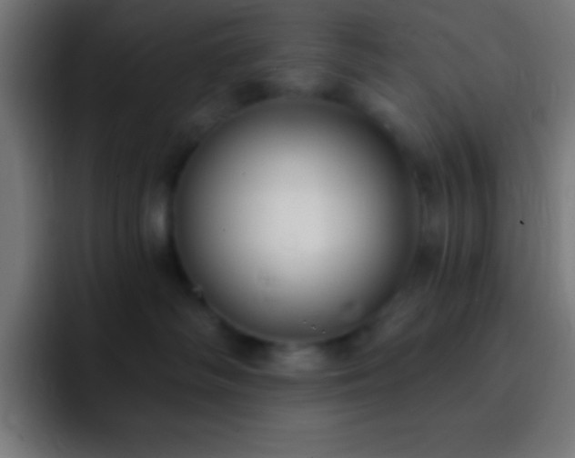 X0000093090334200710031816