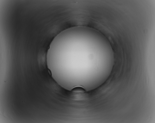 X0000093090336200710031816