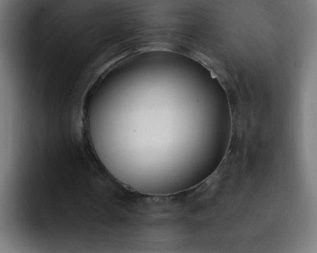 X0000093090338200710031816