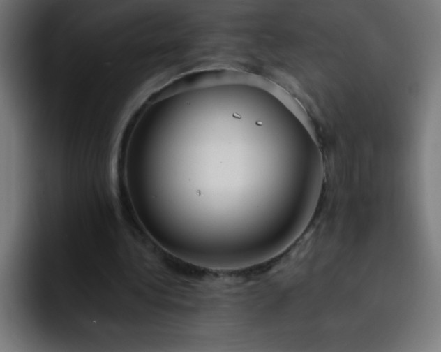 X0000093090340200710031816