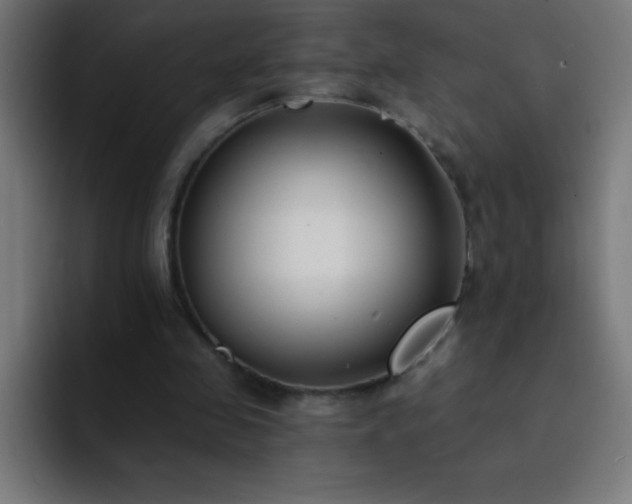 X0000093090341200710031816