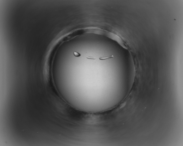 X0000093090343200710031816