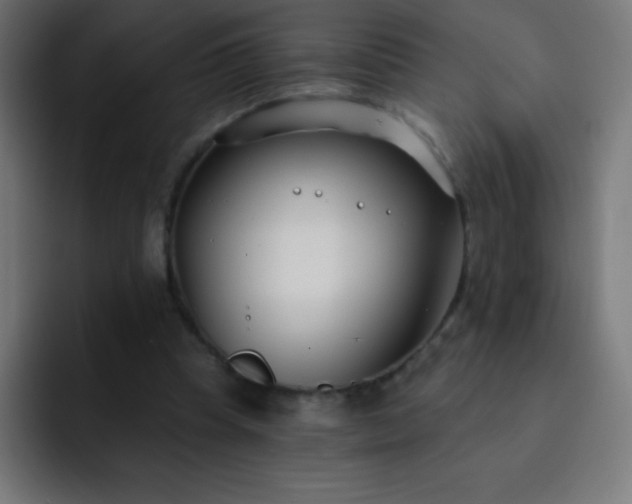 X0000093090345200710031816