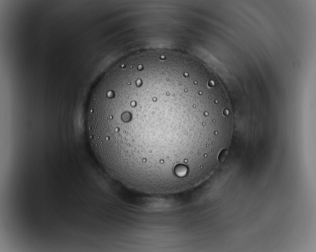 X0000093090347200710031816