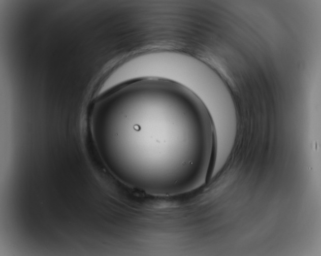 X0000093090348200710031816